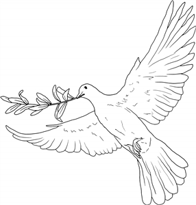 Dove With Olive Branch
