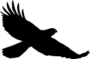 Hawk