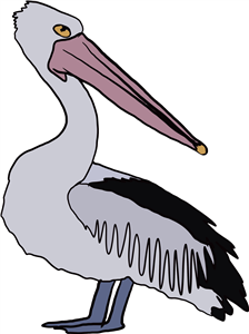 Pelican