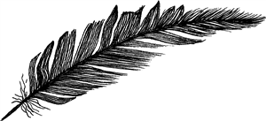 Feather