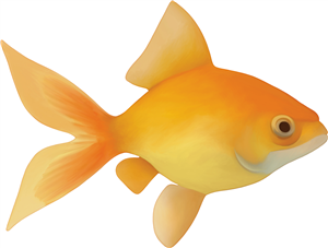 Goldfish