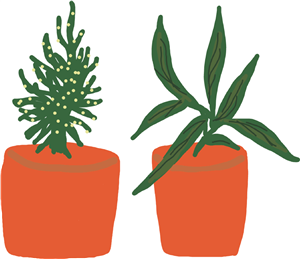 Pot plants