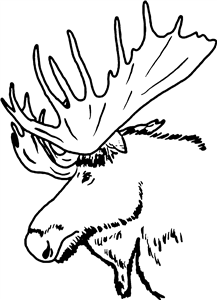 Moose Head