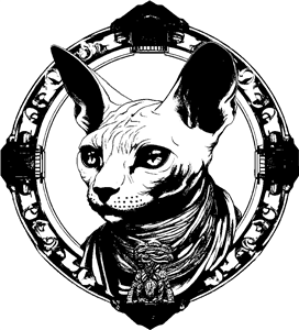 sphynx cat