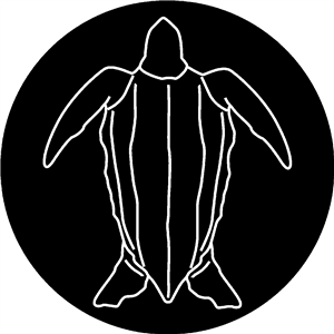 Leatherback Turtle