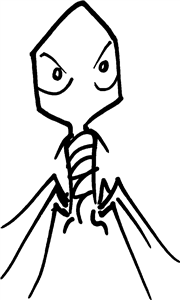 Bacteriophage Virus