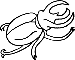 Stag Beetle