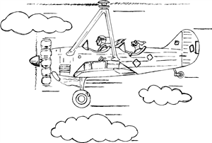 Plane With Dog Passenger