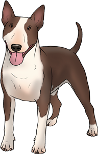 Bull Terrier