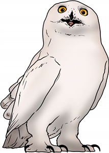 Snowy Owl