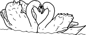 Love Swans