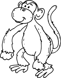 Monkey