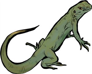 Green Lizard