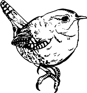 Wren Bird