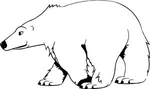 Polar Bear