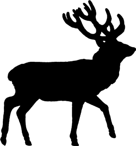 Deer Stag Silhouette