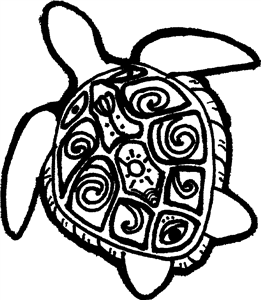 Patterned Turtle