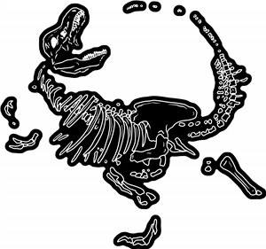 Dinosaur Bones
