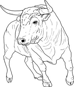 Charging Bull