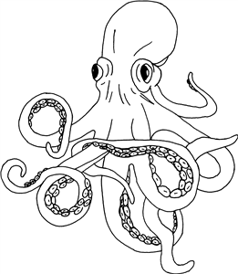 Octopus