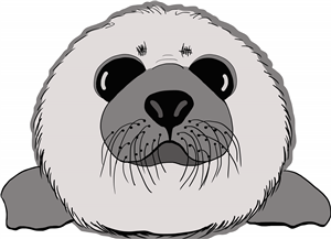 Seal Pup