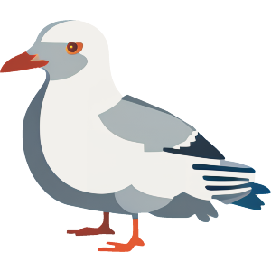 British Seaside Seagull