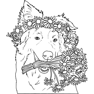 Dog with Daisy Flowers
