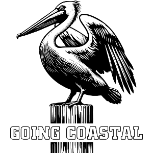 Going Coastal Pelican
