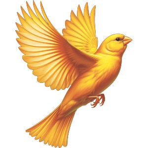 Flying Canary