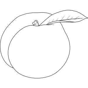 Sweet Peach Fruit
