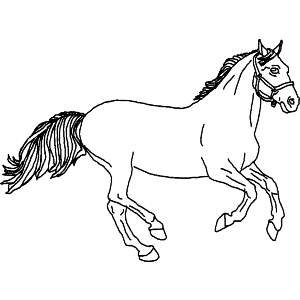Horse