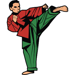 Judo Position