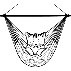 Cat In A Hammock