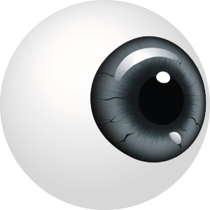 Human Eyeball