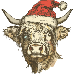 Highland Cow Wearing Santa Hat
