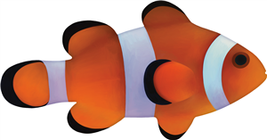 Clownfish