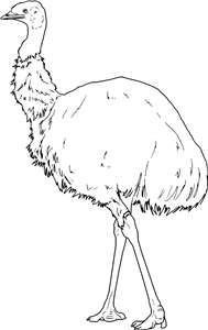 Emu