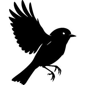 Bird in Flight Silhouette