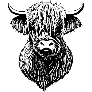 Highland Cow Head