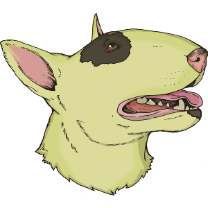 English Bull Terrier Portrait