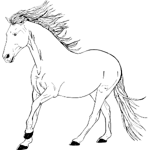 Trotting Horse