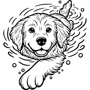 Golden Retriever Swimming