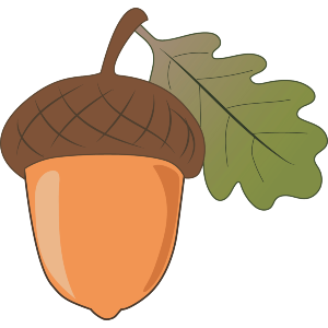 Acorn Nut