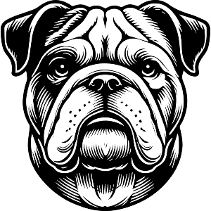 Bulldog