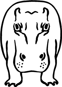 Hippo