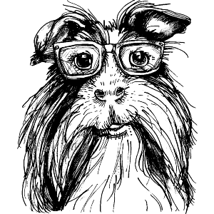 Guinea Pig Wearing Glasses
