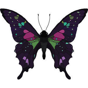 Bright Botanical Butterfly 
