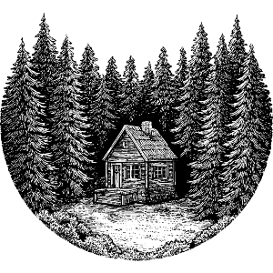 Cabin in Woods