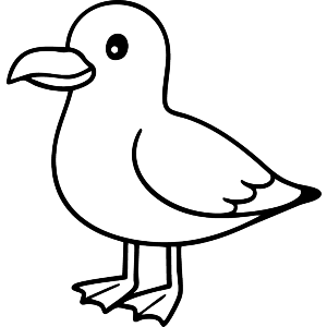 Seagull
