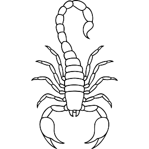Scorpion